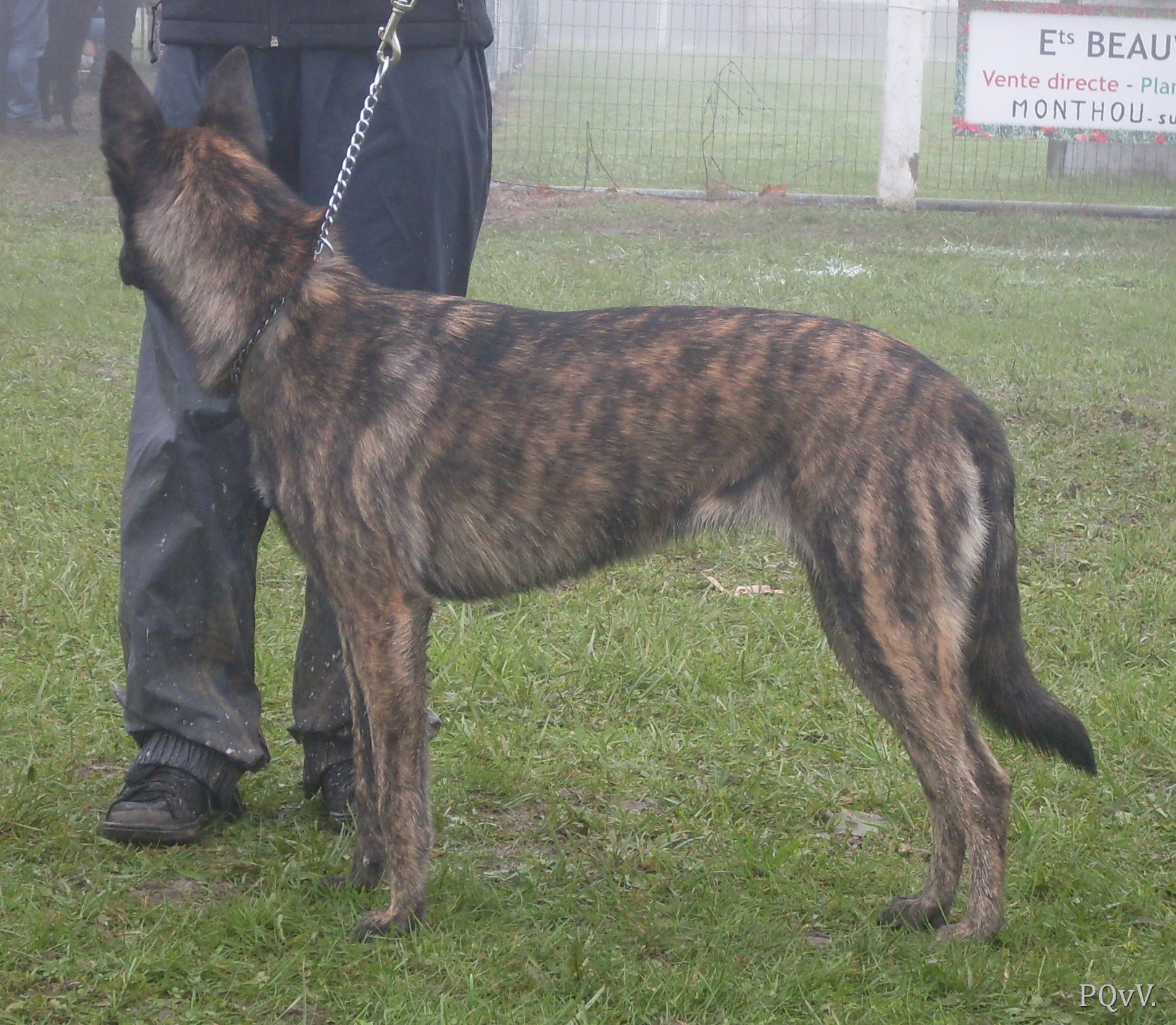  Gyn de la Cité des Maraudeurs